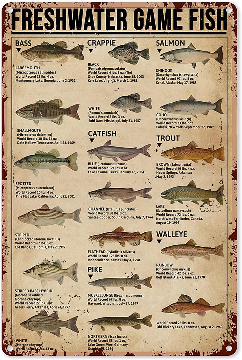 Retro Gaming Pictures - Y1, Poster artistici da pesca, Targhetta